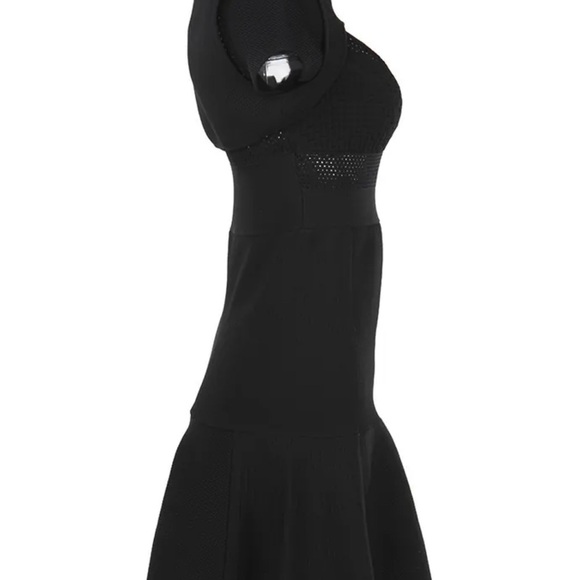 Valentino Garavani Black Fit and Flare Mini Dress - Picture 4 of 5